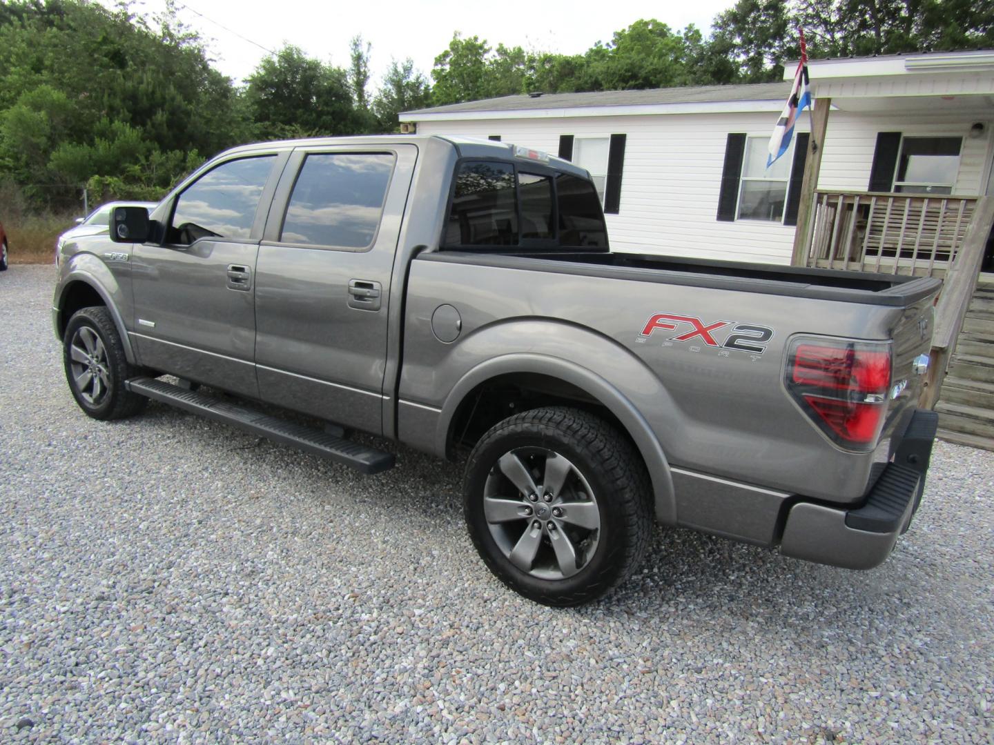 2013 Gray /Gray Ford F-150 Platinum SuperCrew 6.5-ft. Bed 2WD (1FTFW1CTXDF) with an 3.5L V6 TURBO engine, Automatic transmission, located at 15016 S Hwy 231, Midland City, AL, 36350, (334) 983-3001, 31.306210, -85.495277 - Photo#5